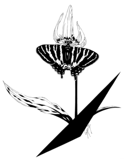 カタクリギフL.png