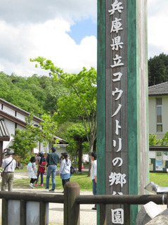 コウノトリの郷.jpg