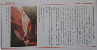 版画芸術記事.jpg