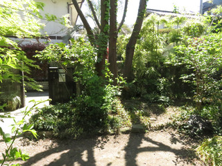 陽が当たる庭.jpg