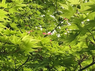 IMG_3740.jpg