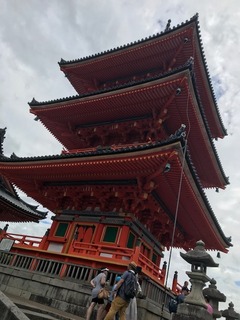 IMG_5222.jpg