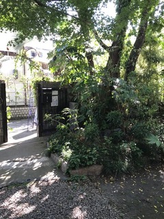 IMG_6148.jpg